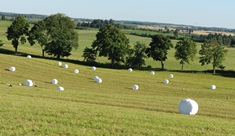 Ecological hay and silage